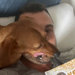 Meet your Posher, Alex